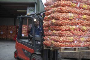 Heftruck met uien bij J. Jansen Uienhandel BV Kruiningen